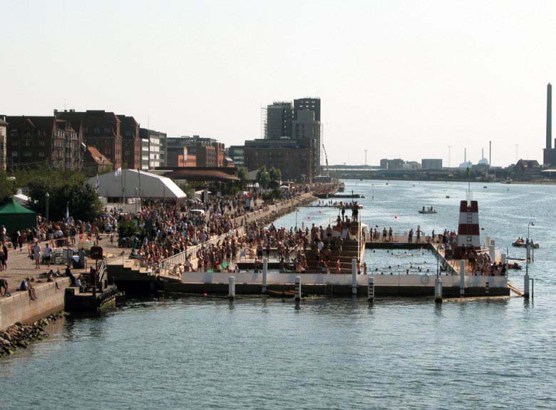 Copenhagen interpretation and schrödinger's cat picture