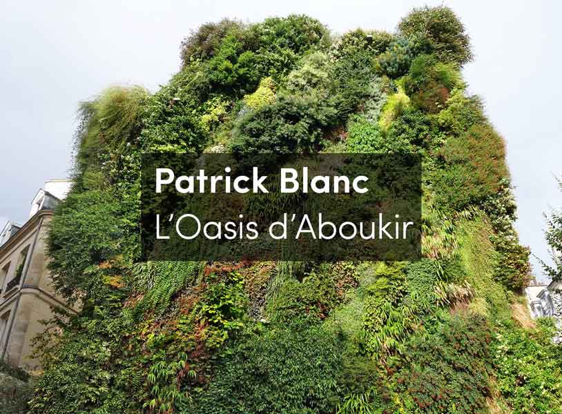 L'Oasis d'Aboukir: Ecologically Beautifying the City