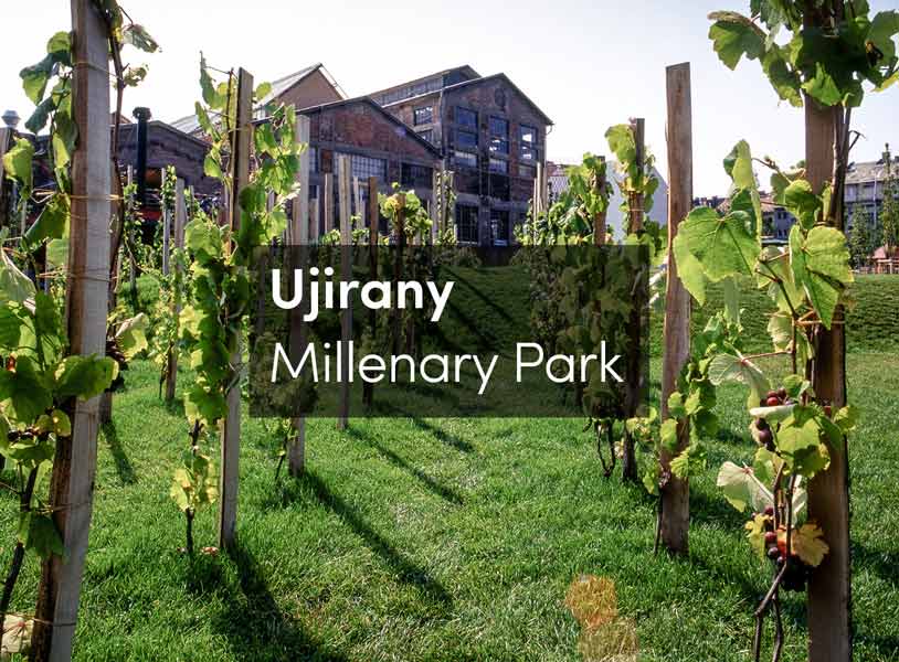 Millenary Park: Motivation and Interaction