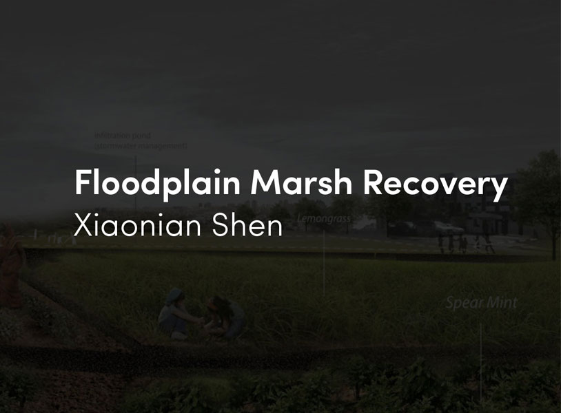 Floodplain Marsh Recovery: A Critical Ecosystem