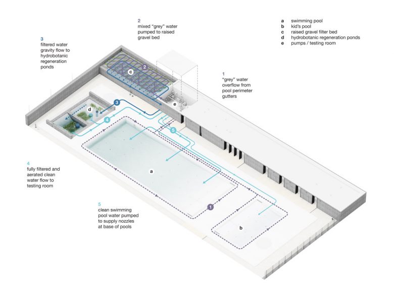 Borden Park Natural Swimming Pool: Environmentally Healthy – urbanNext