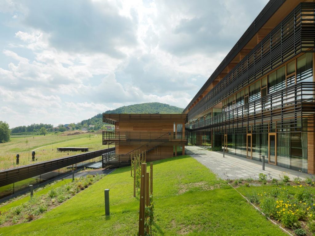 Dissertation vs thesis picture