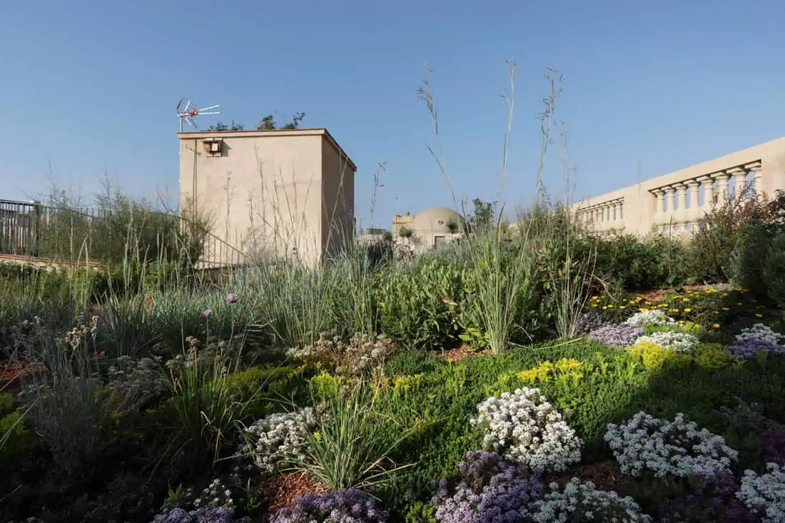 Xifré’s Rooftop © Carlos Barruz