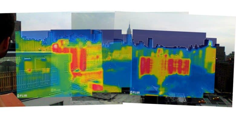 Forrest meggers thesis 06 image