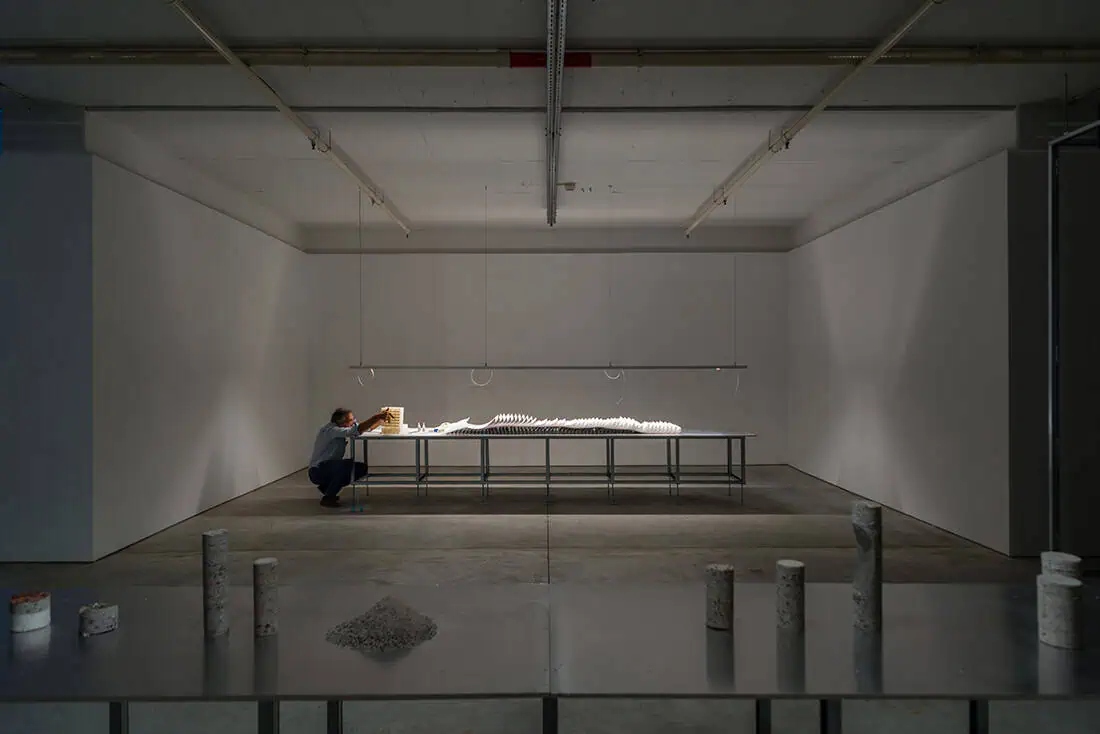 T2022 Terra Cycles CCB © Sara Constanca