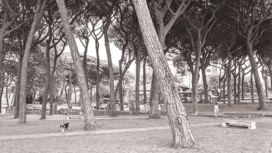 Santander Neighborhood Plan © Landlab