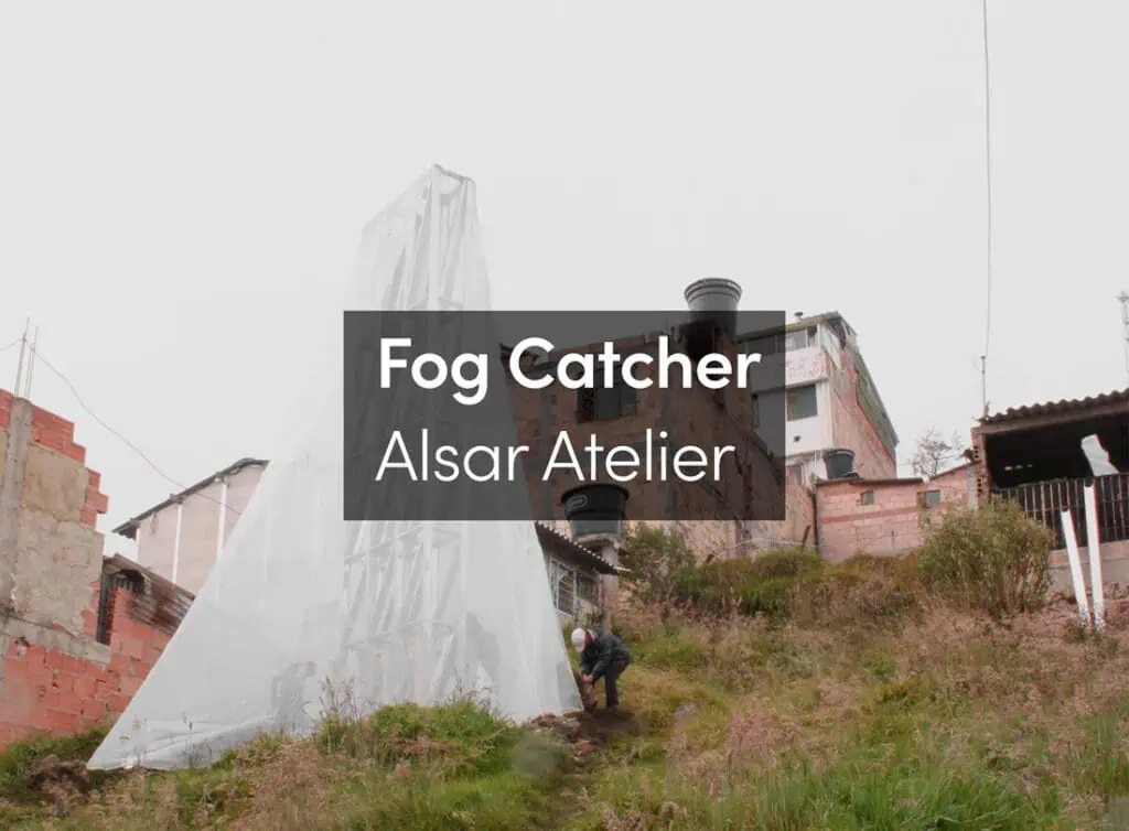 Fog Catcher