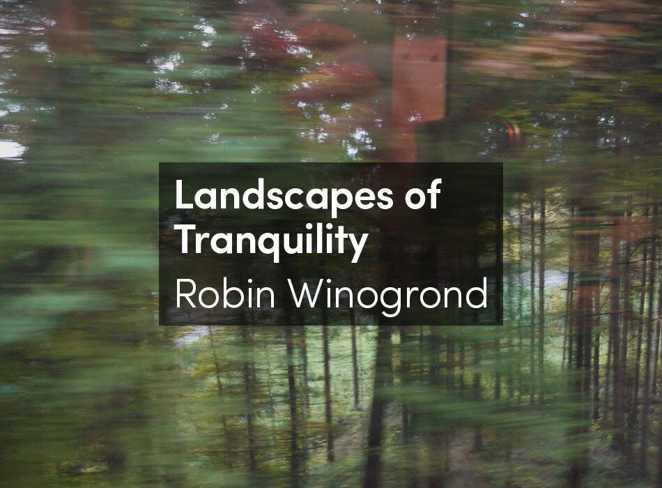 Landscapes of tranquility by robin winogrond, urbanNext, peaceful forest scenery, nature photography, calm outdoor environment for relaxation and mindfulness.