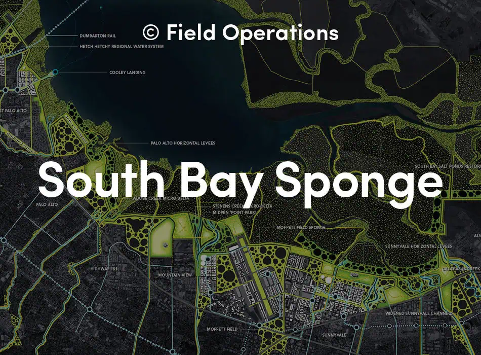 South-bay-sponge-urbanNext-park-planning-and-green-infrastructure.jpg.
