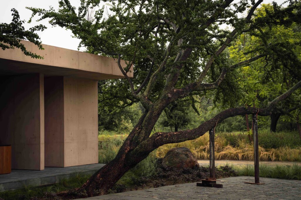 Bosquet. AE Arquitectos. © Alejandro Ruiz Suárez