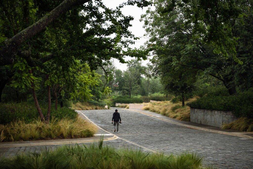 Bosquet. AE Arquitectos. © Alejandro Ruiz Suárez