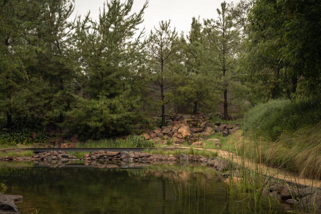 Bosquet. AE Arquitectos. © Alejandro Ruiz Suárez