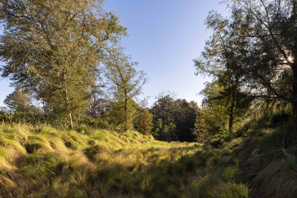 Bosquet. AE Arquitectos. © Jesús López Cinco