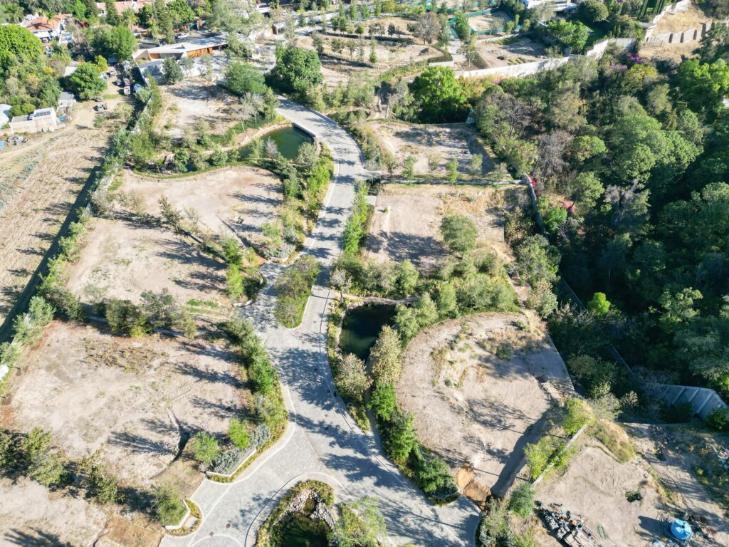 Bosquet. AE Arquitectos. © Juan García Rangel