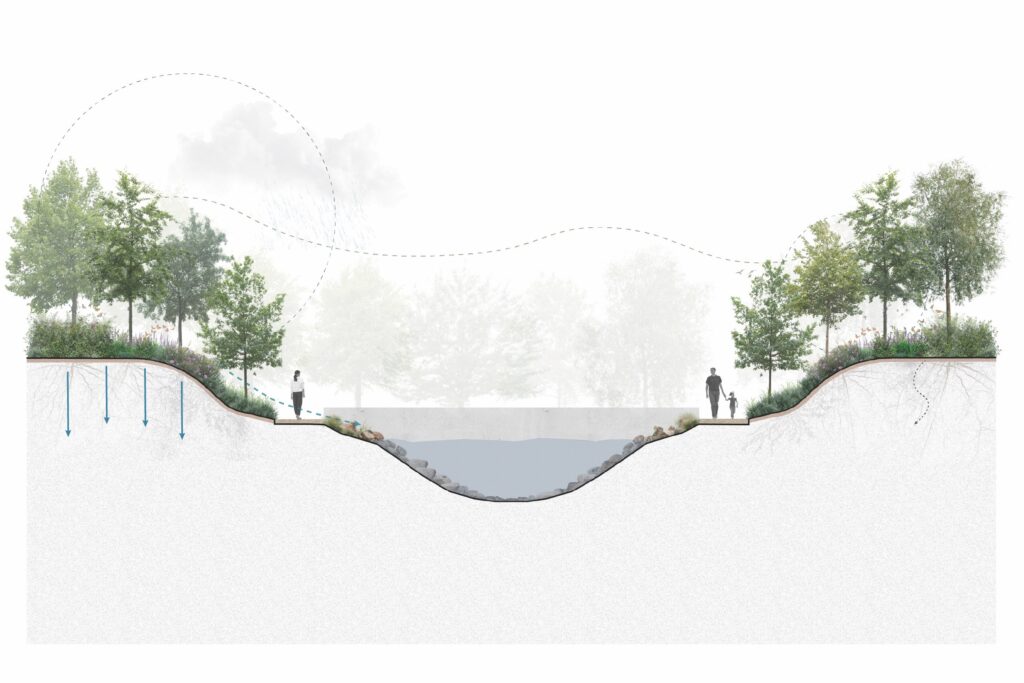 © Bosquet. AE Arquitectos.