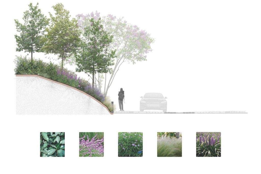 © Bosquet. AE Arquitectos.