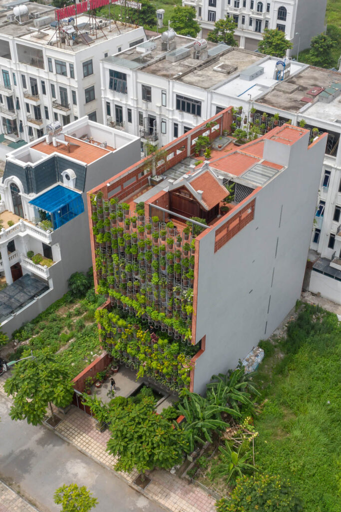 Flying Vegetation. @Photo: Le Minh Hoang