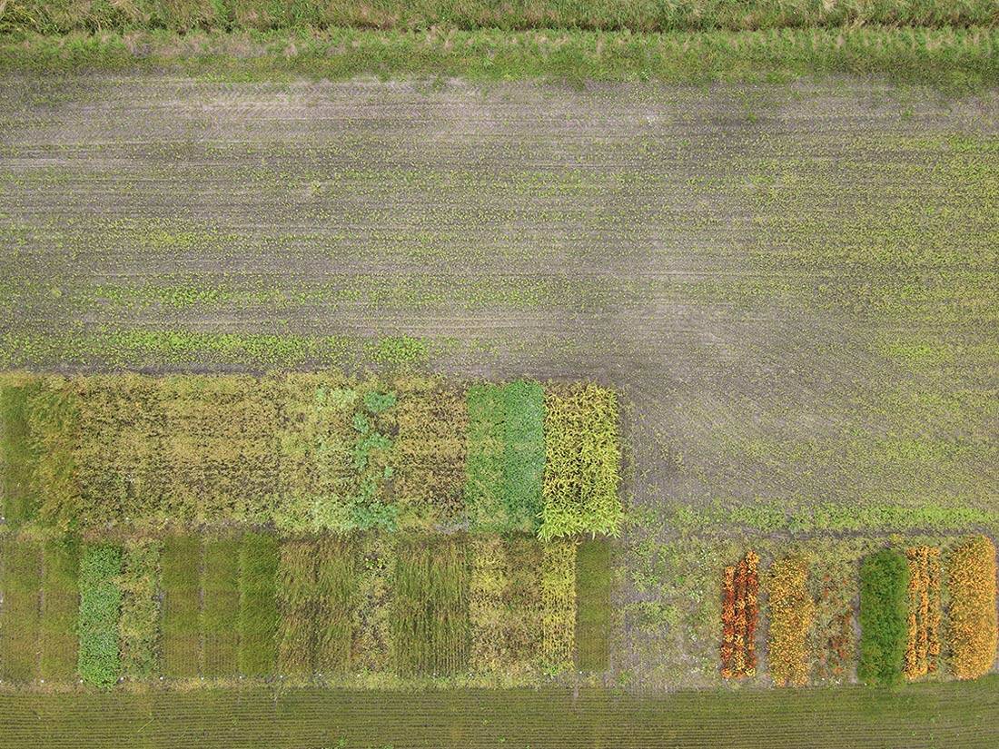 Meat and Two Vegetables urbanNext