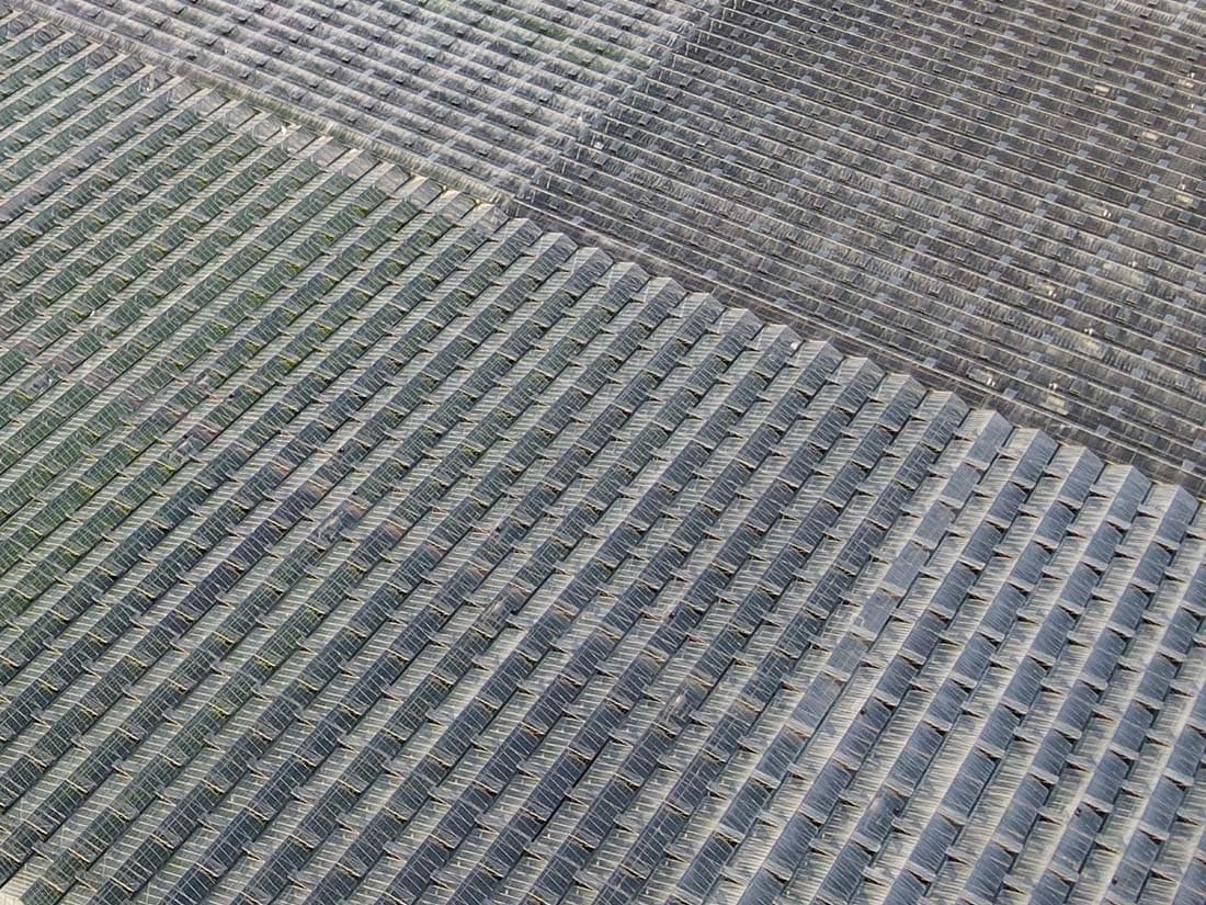 Meat and Two Vegetables urbanNext